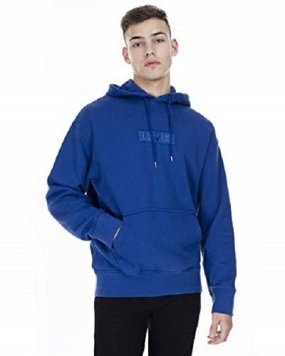 SUDADERA LEVIS RELAXED GRAPHIC HOODIE SS