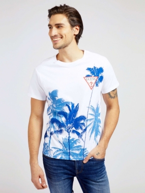 CAMISETA HOMBRE GUESS WINDSWELL